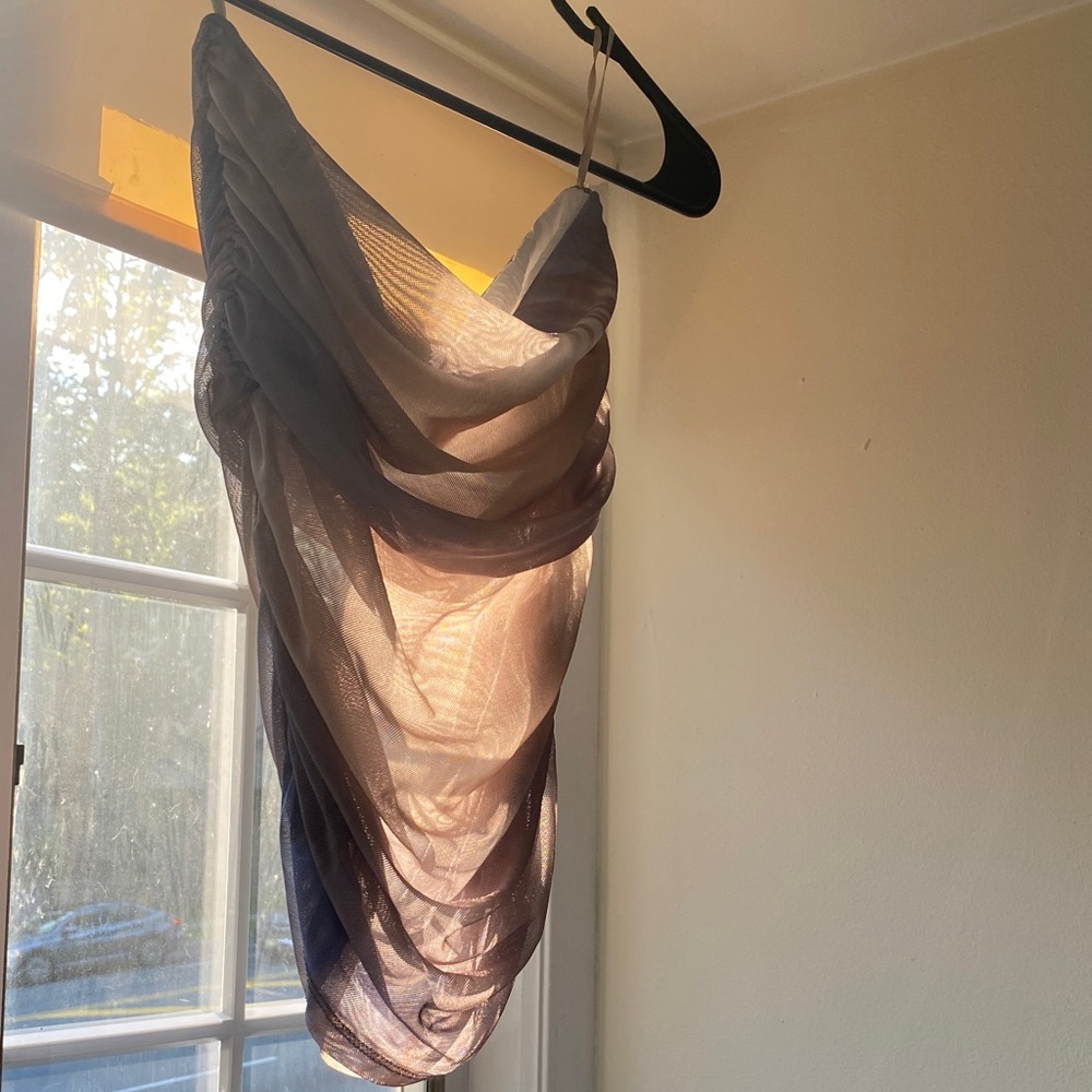 Zara Sheer Beige and Purple Top